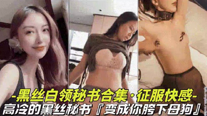 【黑丝白领秘书大合集】高冷黑丝秘书变成胯下母狗视觉上的享受